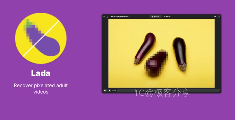#AI #视频处理 #工具🍆 Lada - 一个专为成人视频去马赛克的 AI 工具⬇️下载页面 |  镜像下载Lada 主要用于恢复成人视频中的像素化或马赛克场景，同时支持命令行和图形界面使用